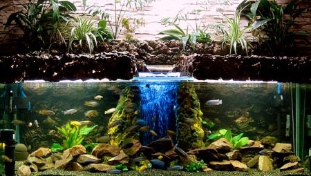Filtres phyto pour un aquarium : but et variétés, faites-le vous-même