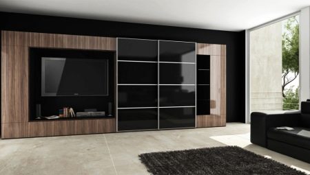 Living room cabinets in a modern style: types and choices