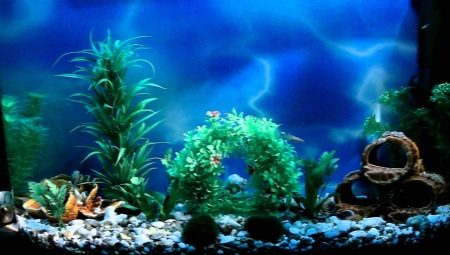 Making a background for an aquarium with your own hands