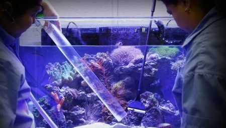 Comment et avec quoi désinfecter un aquarium ?