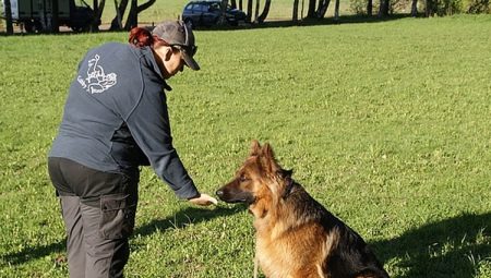 How to teach a dog the commands fu and not?