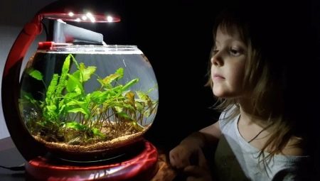 Comment choisir un filtre pour un aquarium rond ?