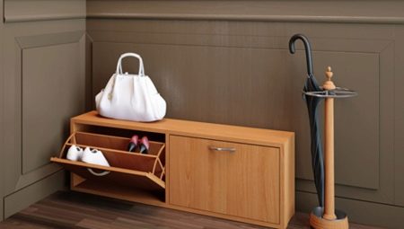 A dresser for shoes in the hallway: varieties and subtleties of operation