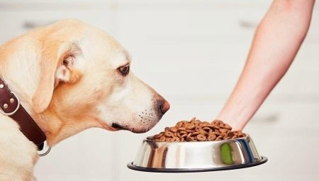 Food for neutered and neutered dogs