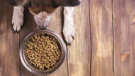 Low protein foods for dogs