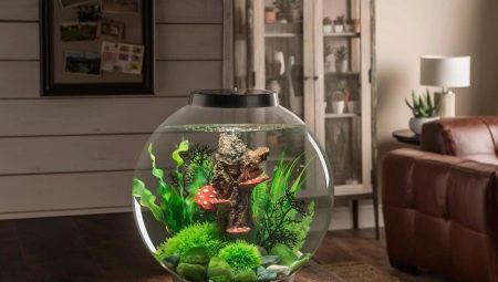 Round aquariums: sizes, selection and design