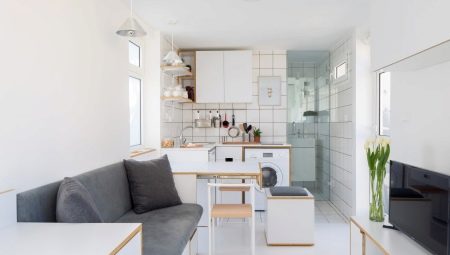 Kitchen for a mini-studio apartment: interior design ideas