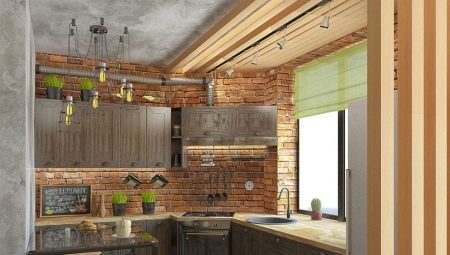 Small kitchens in loft style