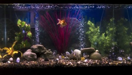 Is it possible to turn off the compressor in the aquarium at night?