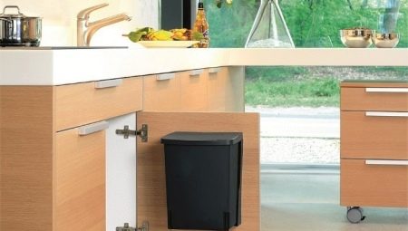 Trash can: how to choose and properly care?