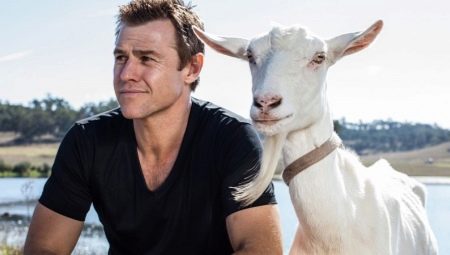 Goat man: character, career achievements and love