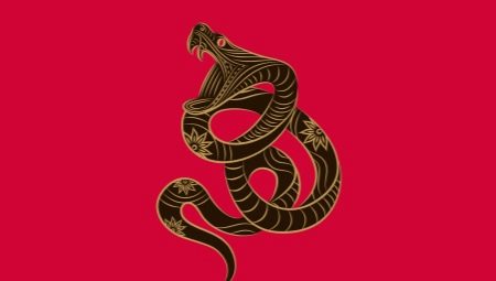 Snake man: χαρακτηριστικά και συμβατότητα