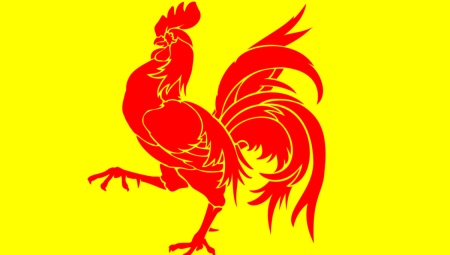 Male Roosters: characteristics, achievements in work and personal life