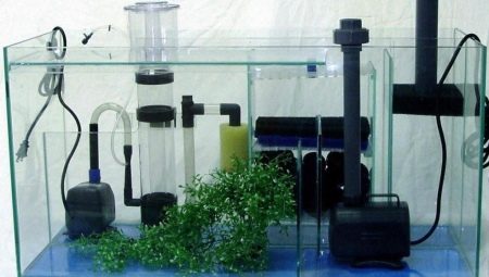 Equipment for the aquarium and the rules for its selection