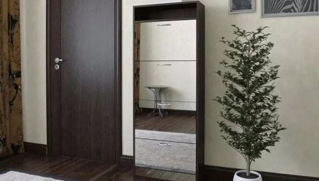 Shoe racks with a mirror in the hallway: types and tips for choosing