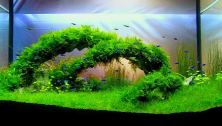Décoration d'aquarium : beau design DIY