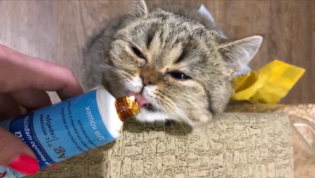 Paste for removing hair from cats: selection and secrets of use
