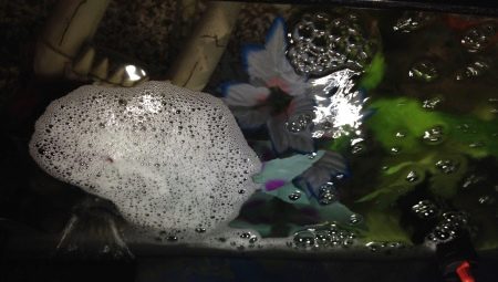 Foam in the aquarium: reasons and options for dealing
