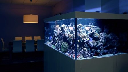 Why can't aquariums be filled with chilled boiled water?