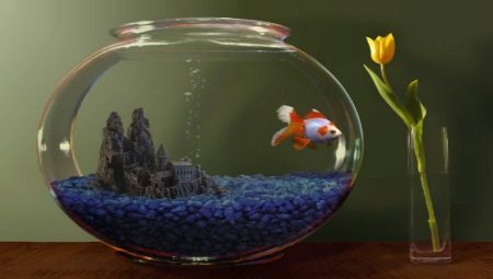Why does the water become cloudy in the aquarium and what to do about it?