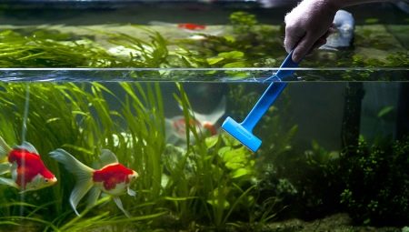 Un bon nettoyage de l'aquarium à la maison