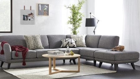 Gray sofa in the living room interior: types, what to combine with and how to choose?