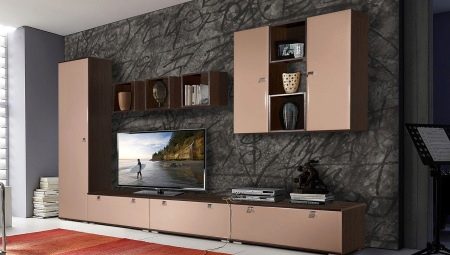 Wardrobe in the living room for a TV: types, tips for choosing and placing