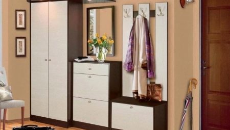 Wardrobe in the hallway: design, types and selection