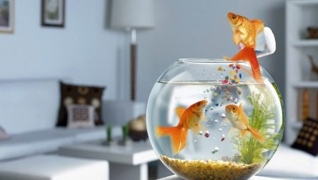 How long do goldfish live and what does it depend on?