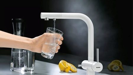 Kitchen faucets with a water filter: description, types and selection