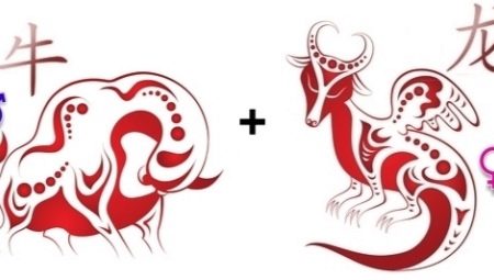 Ox and Dragon compatibility in friendship, work and love