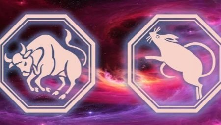 Ox and Rat Compatibility