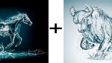 Ox and Horse Compatibility