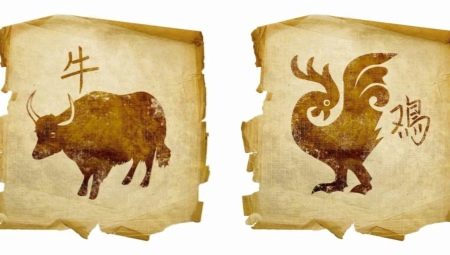 Ox and Rooster compatibility