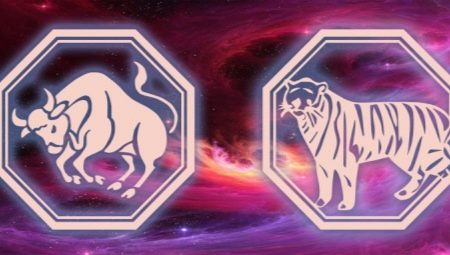 Ox and Tiger compatibility