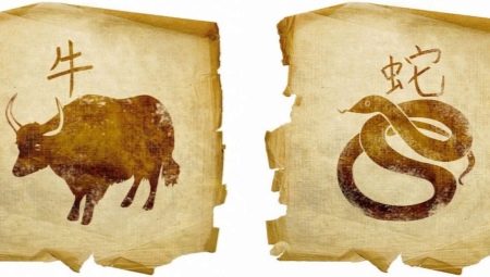 Ox and Snake Compatibility