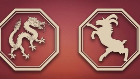 Dragon and Goat compatibility in various spheres of life