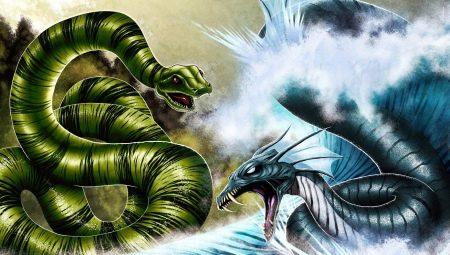 Dragon and Snake compatibility in various spheres of life