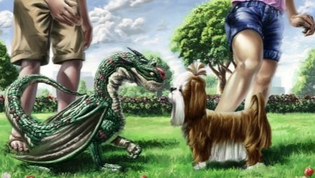 Compatibility of Dragons and Dogs in different aspects of life
