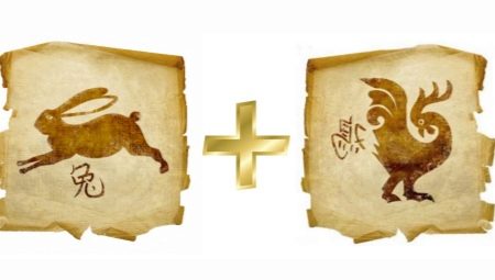 Rabbits and Roosters compatibility in friendship, work and love