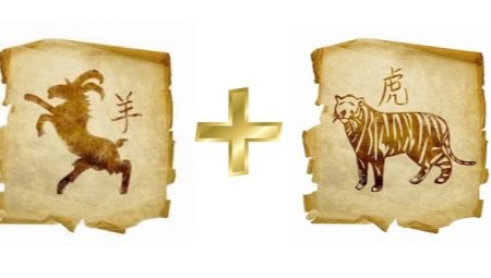 Compatibility of the Tiger and the Goat (Sheep) according to the eastern horoscope
