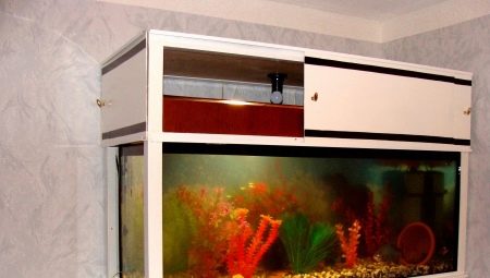 水族館擱架:選擇和創作