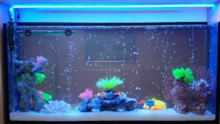 Aquarium LED strip: tips for selection and placement