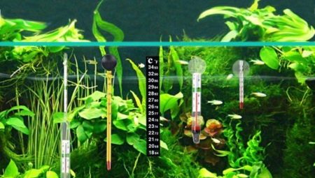Aquarium thermometers: what are they and how to choose?