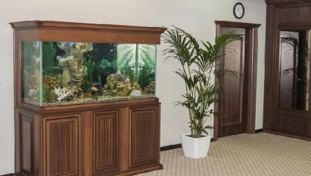 Socles pour aquarium : variétés, sélection, production, installation