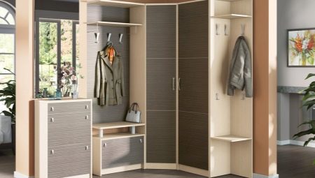 Narrow wardrobes in the hallway: types, sizes and selection