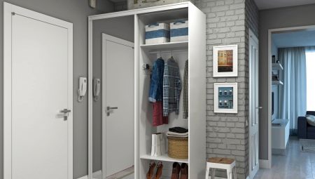 Internal filling of wardrobes in the hallway