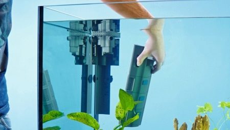 Internal filters for aquarium: description, selection and installation