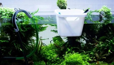 Aquarium water: what can you fill in and how to do it?