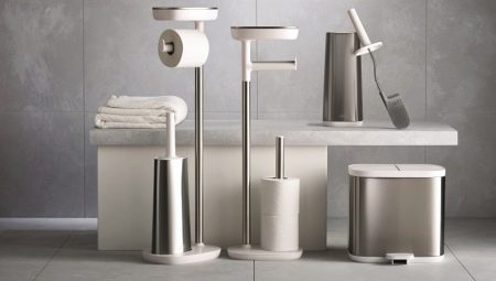 Toilet accessories: types and selection